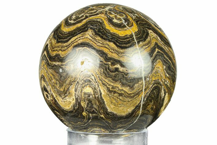 Polished Stromatolite (Greysonia) Sphere - Bolivia #302440